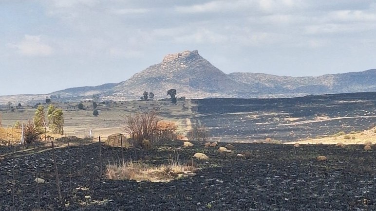 ‘Doelbewuste brandstigting verwoes weiding van Vrystaatse grensboere’ ‘Doelbewuste brandstigting verwoes weiding van Vrystaatse grensboere’ | News Article
