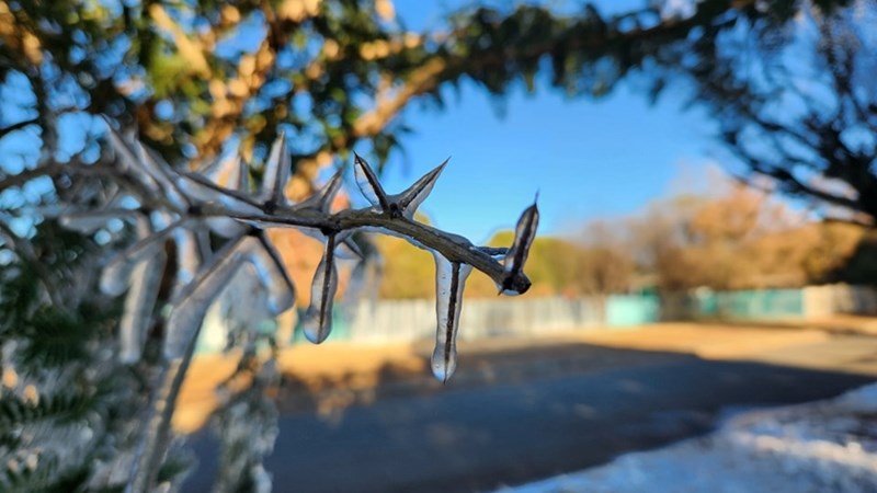 Brrr, maar dit is mooi foto’s van Vrystaatse koue!  | News Article