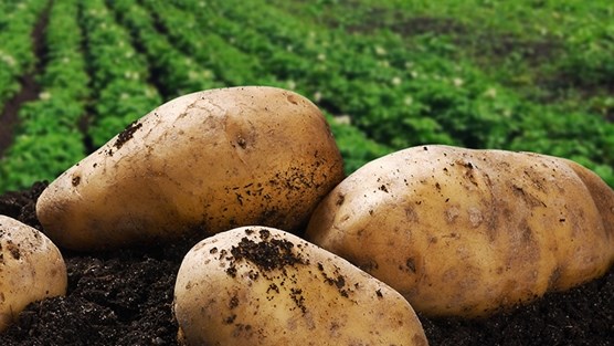 What's new in Farmer’s Weekly? What's new in Farmer’s Weekly? | News Article