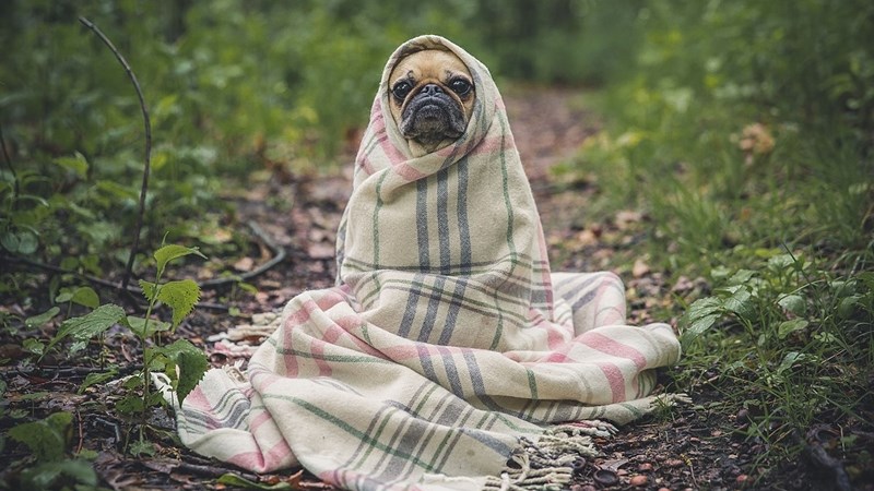 Vrystaters en Noord-Kapenaars kan só veilig en warm bly in uiterste koue | News Article