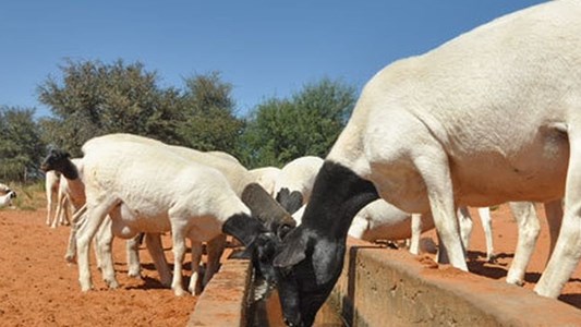 Toerismemaand: Postmasburg, waar geskiedenis en natuur ontmoet | News Article