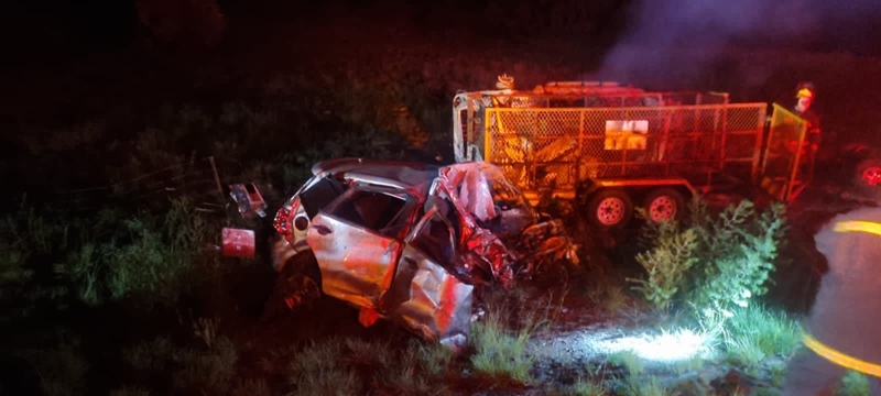 Four dead in head-on collision | News Article