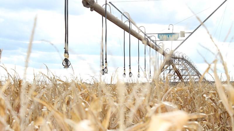 Agri-Uur: Jongste Safex-nuus Agri-Uur: Jongste Safex-nuus | News Article