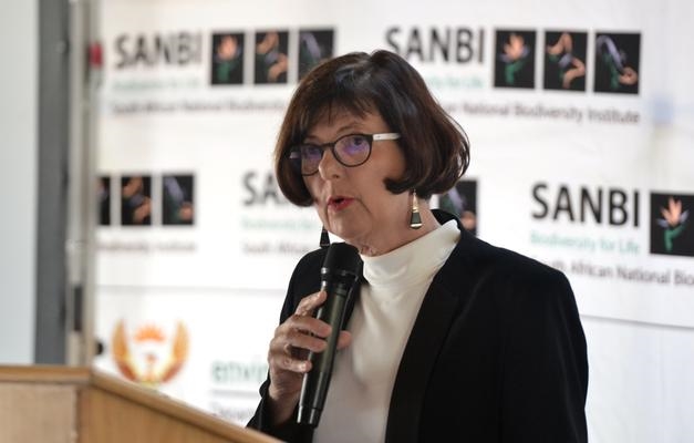 Minister se besluit oor myn by Krugerwildtuin afgekeur | News Article