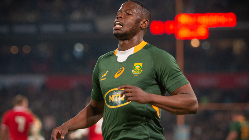 Boks ready to bounce back in Cape Town Boks ready to bounce back in Cape Town | News Article