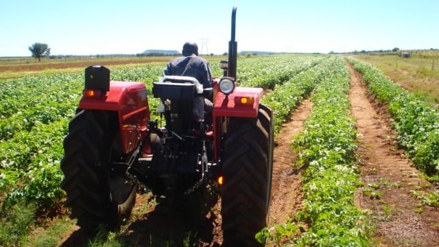 ‘Boere moet hul mark goed ken voordat hulle plant’ | News Article