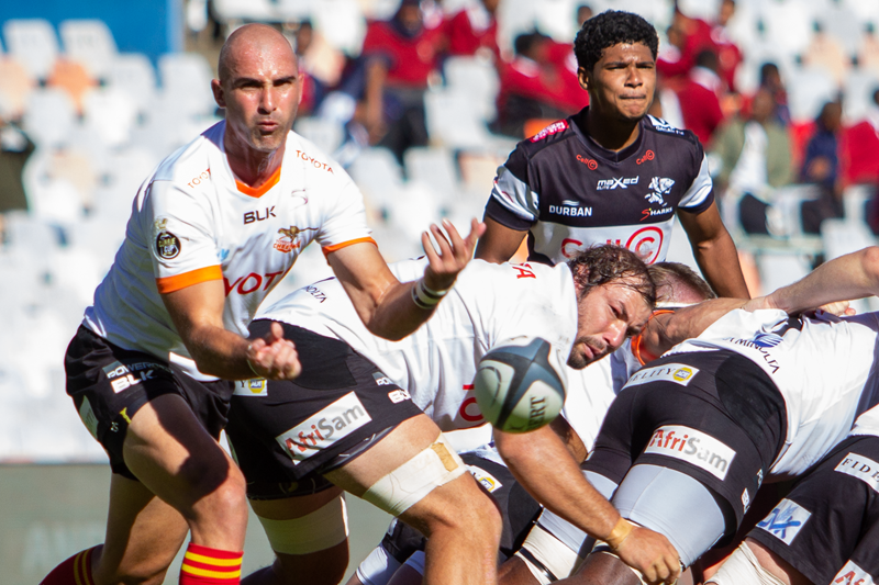 Cheetahs keen to measure themselves against the Sharks | News Article