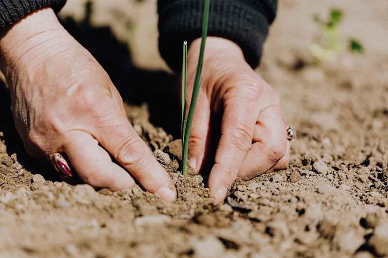 What’s new in Farmer’s Weekly? | News Article