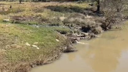 AfriForum dreig Upington-munisipaliteit oor rioolstorting in Oranje AfriForum dreig Upington-munisipaliteit oor rioolstorting in Oranje | News Article