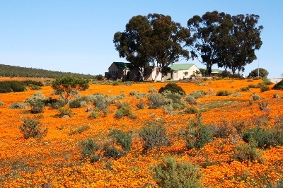 Brandgevaar, warm weer vir Kakamas voorspel | News Article