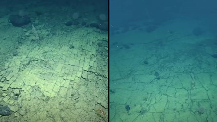 Weird Wide Web - Underwater yellow brick road | News Article