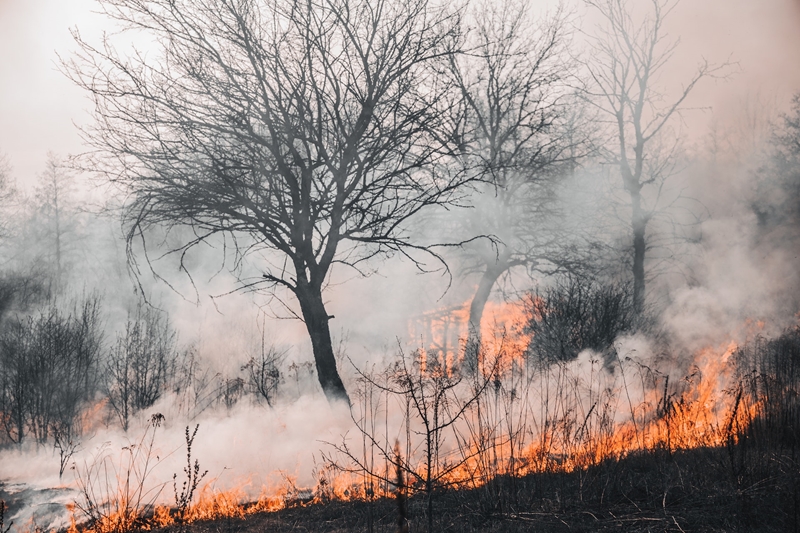 Voorsorg vir 2023-brandseisoen noodsaaklik | News Article