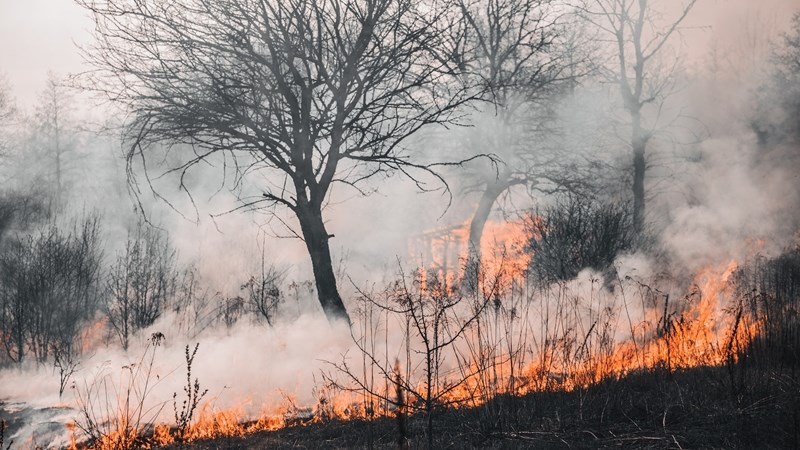 Voorsorg vir 2023-brandseisoen noodsaaklik | News Article