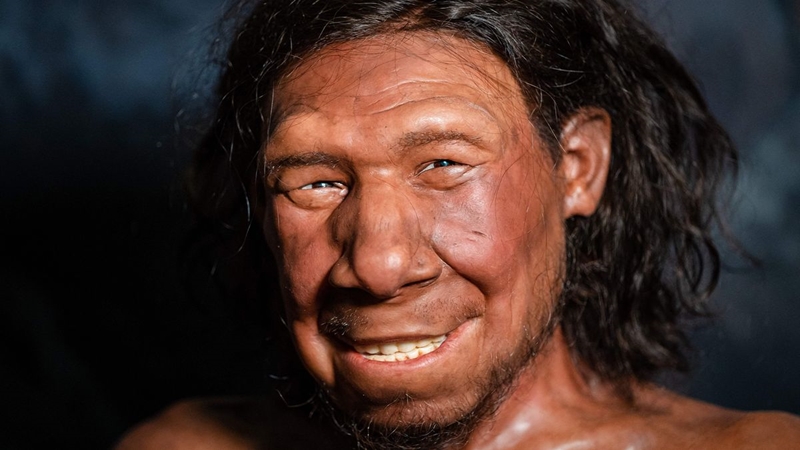 Weird Wide Web – Vrolike oggendvinkie, jy is dalk ’n afstammeling van Neanderdalmense | News Article