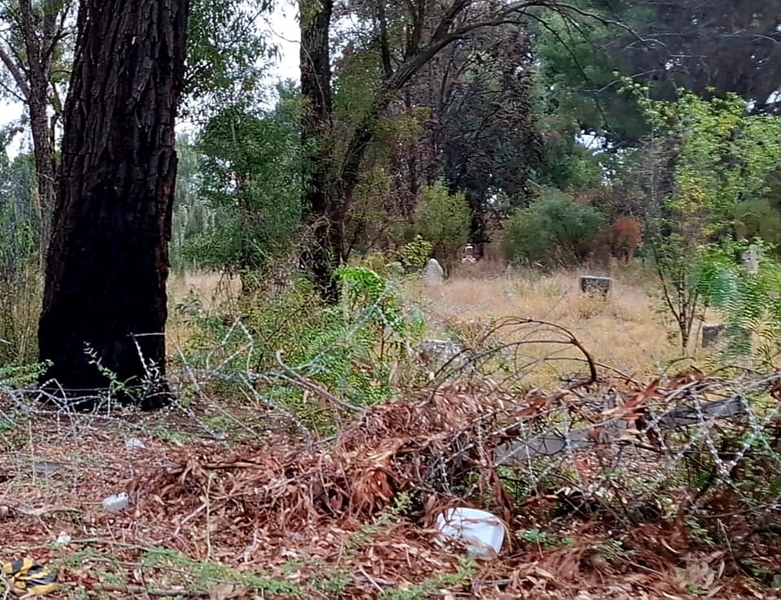 Bloemfonteinse begraafplaas loop deur onder vandalisme | News Article