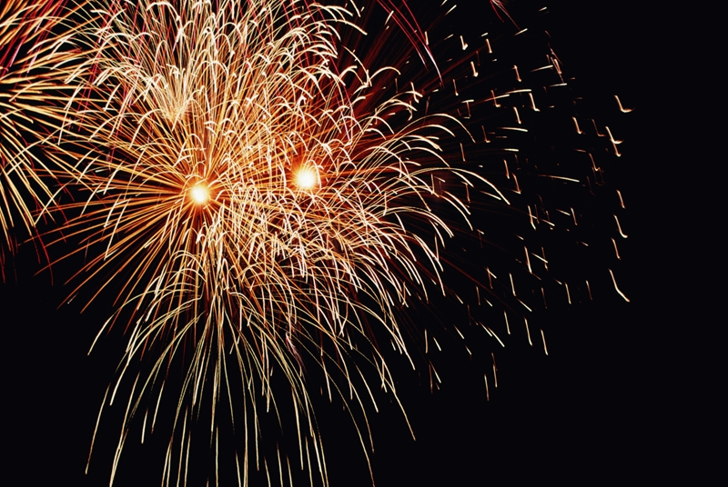 Don't set off fireworks on New Year's Eve: SPCA | News Article