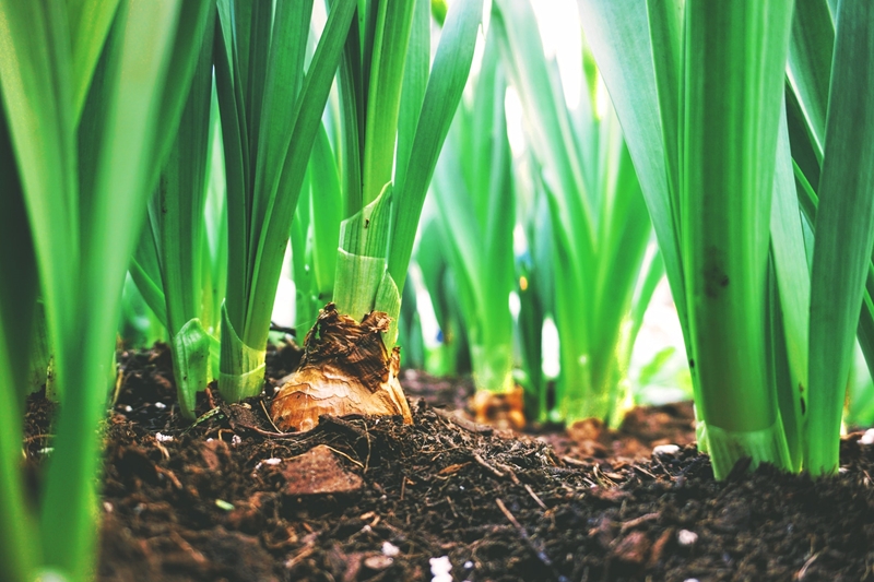 What’s new in Farmer’s Weekly? | News Article