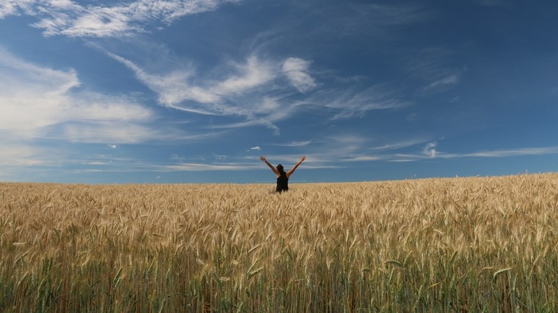 Agri-uur: Jongste Safex-nuus Agri-uur: Jongste Safex-nuus | News Article