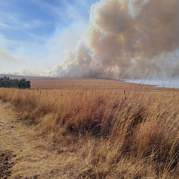 Boere bekommerd oor ‘onnodige’ veldbrande | News Article
