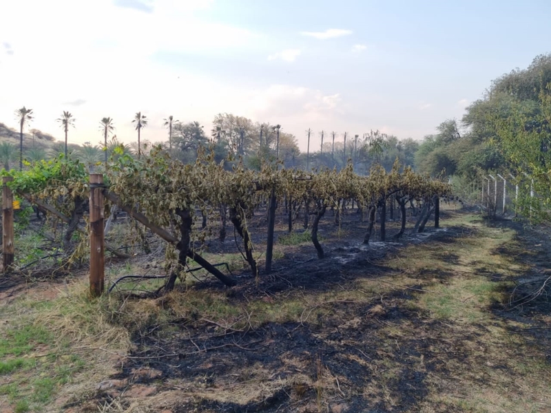 Brand buite Kimberley aangemeld | News Article