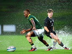Baby Boks and New Zealand share the spoils | News Article