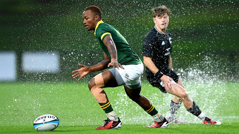 Baby Boks and New Zealand share the spoils | News Article