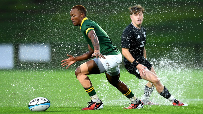 Baby Boks and New Zealand share the spoils Baby Boks and New Zealand share the spoils | News Article