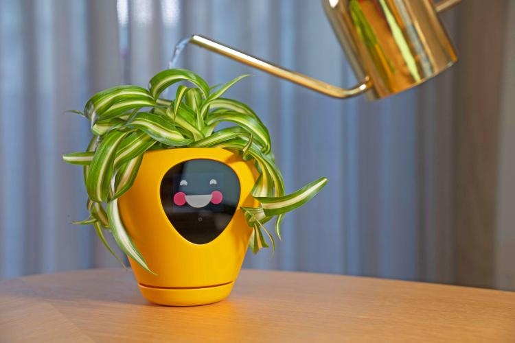 Weird Wide Web: Tegnologie om potplante aan die lewe te hou | News Article