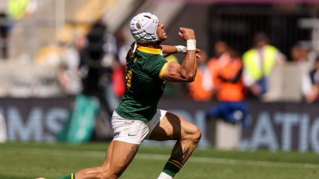 Springboks thrash Italy in Gqeberha Springboks thrash Italy in Gqeberha | News Article