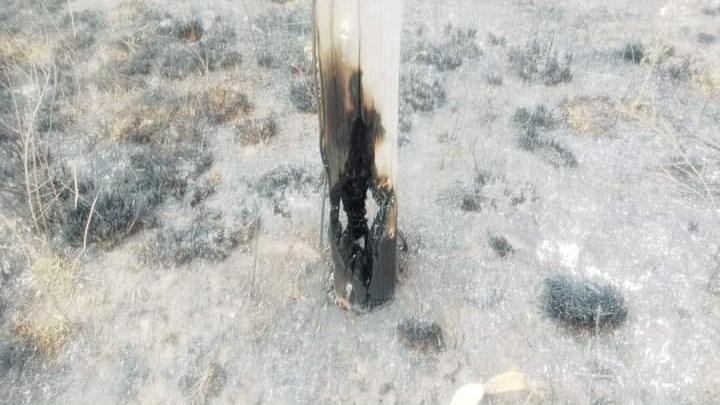 Veld fires affect water supply in Mangaung Veld fires affect water supply in Mangaung | News Article