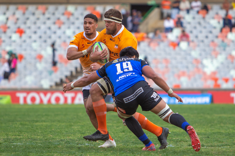 Cheetahs make few changes for last Force game | News Article