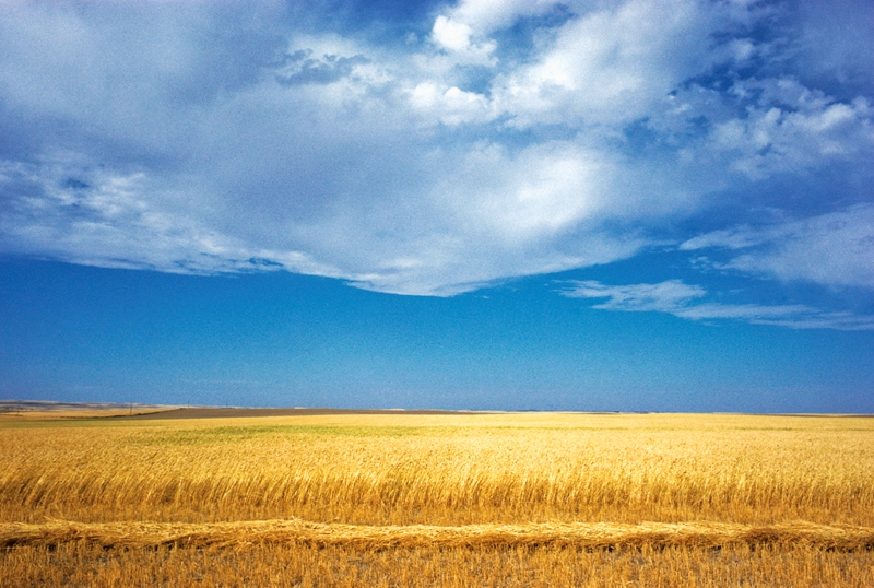 What’s new in Farmer’s Weekly? | News Article