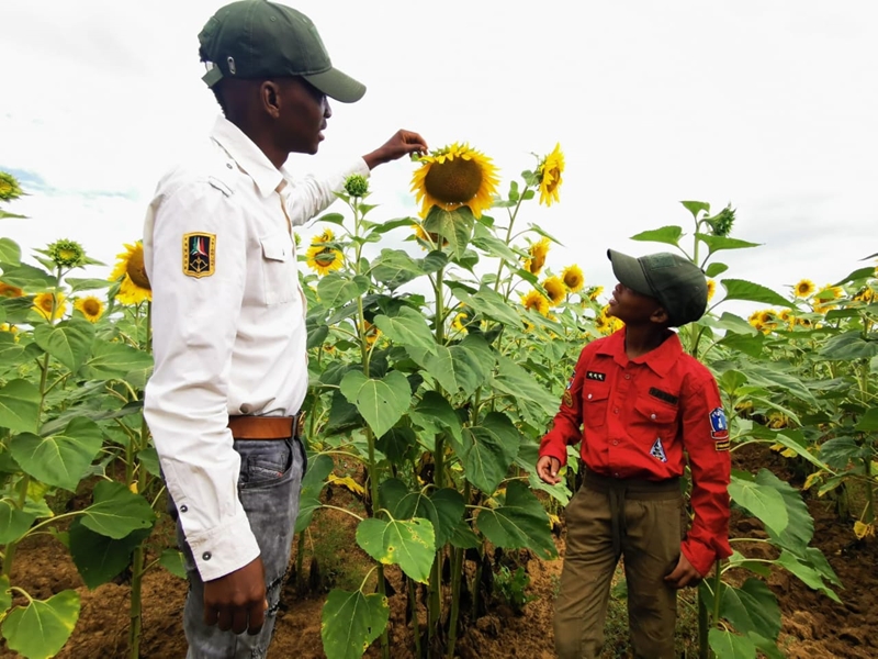 Budgeting fundamental for farming success | News Article