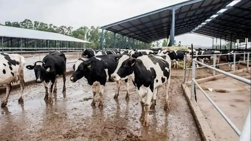 Estina/Vrede adjacent case back in FS High Court | News Article
