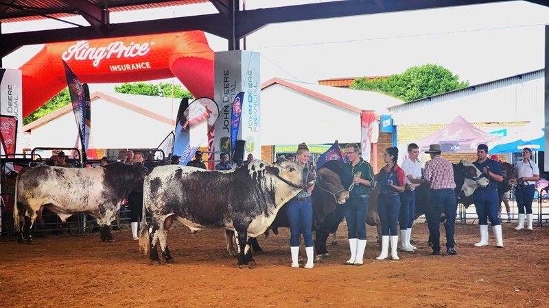 Jeugskoue belangrik vir toekoms van landbou  | News Article