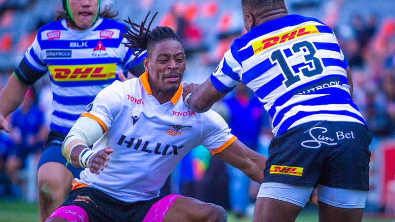 Cheetahs go with experience for Bulls | News Article