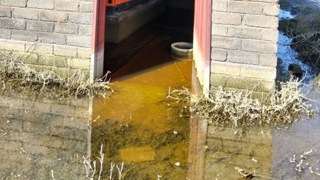 De Aar-rioolplaas in haglike toestand De Aar-rioolplaas in haglike toestand | News Article