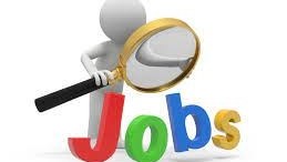 Weird Wide Web - The rarest jobs in the world | News Article