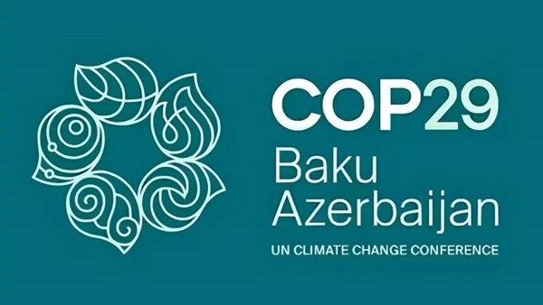 COP29: Suid-Afrikaanse boere reeds op regte pad | News Article