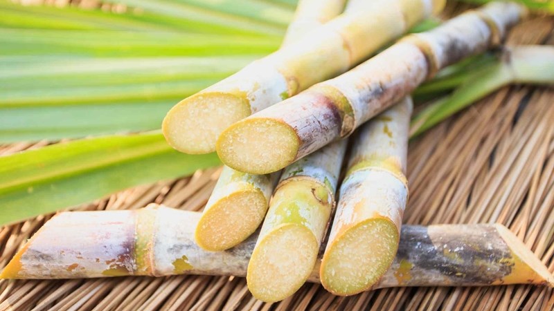 #OFMBusinessHour - IDC grants SA cane growers R85 million in relief | News Article