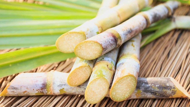 #OFMBusinessHour - IDC grants SA cane growers R85 million in relief #OFMBusinessHour - IDC grants SA cane growers R85 million in relief | News Article