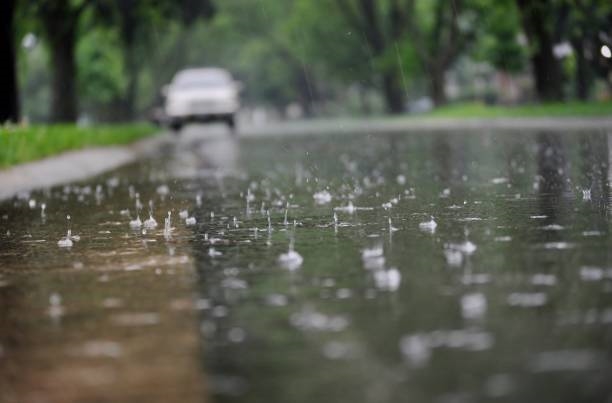 Noord-Kaap: Swaar reën en storms verwag | News Article