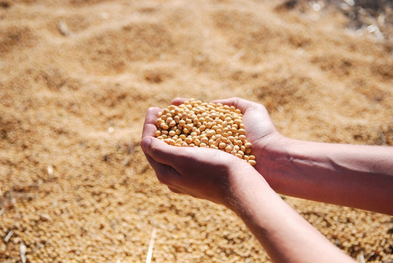 Agri-Uur: Jongste Safex-nuus | News Article