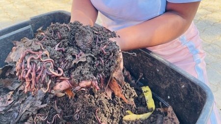 Worm farming can contribute to soil health, help alleviate poverty  | News Article