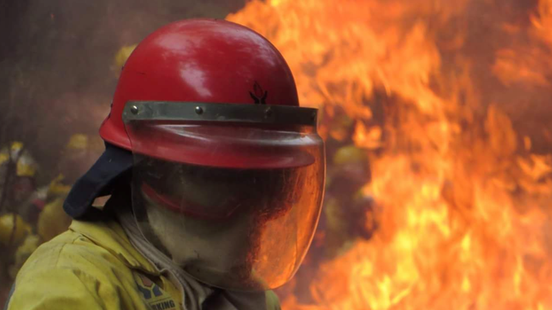 Landbounuus-podcast: Vrystaat deur veldbrande geteister  | News Article