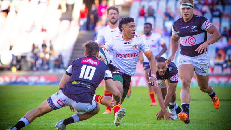 Cheetahs wary of the Sharks | News Article