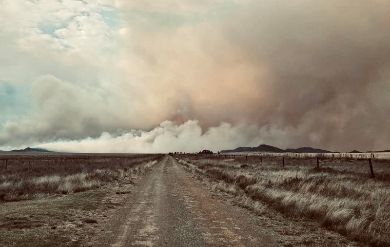 Landbounuus: Omvang van veldbrandskade by Philippolis nog onbekend | News Article
