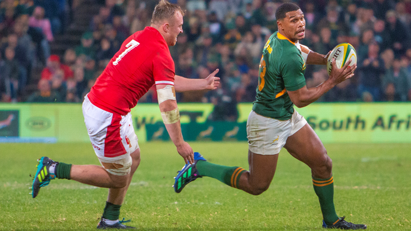 Willemse ruled out for end-of-year tour | News Article