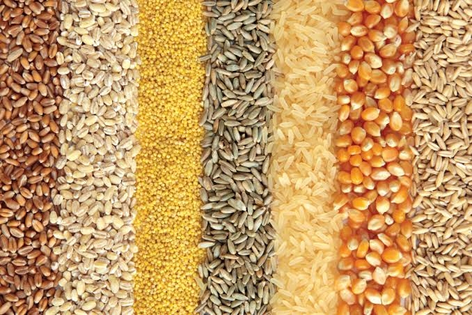 Agri-Uur: Jongste Safex-nuus  | News Article