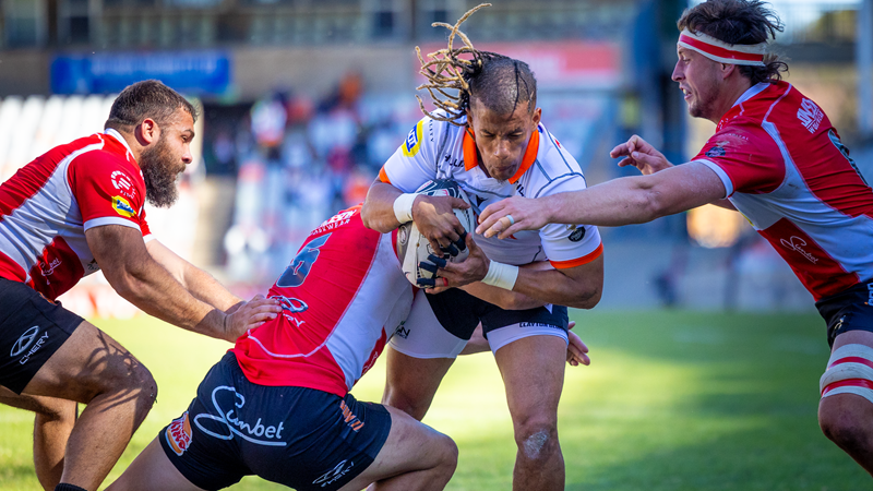 Cheetahs stay top after bonus-point win over Lions Cheetahs stay top after bonus-point win over Lions | News Article